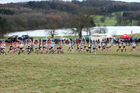 Junior womens 2018 Northern Cross Country Champs., Harewood House, Leeds. Photo: David T. Hewitson/Sports for All Pics
